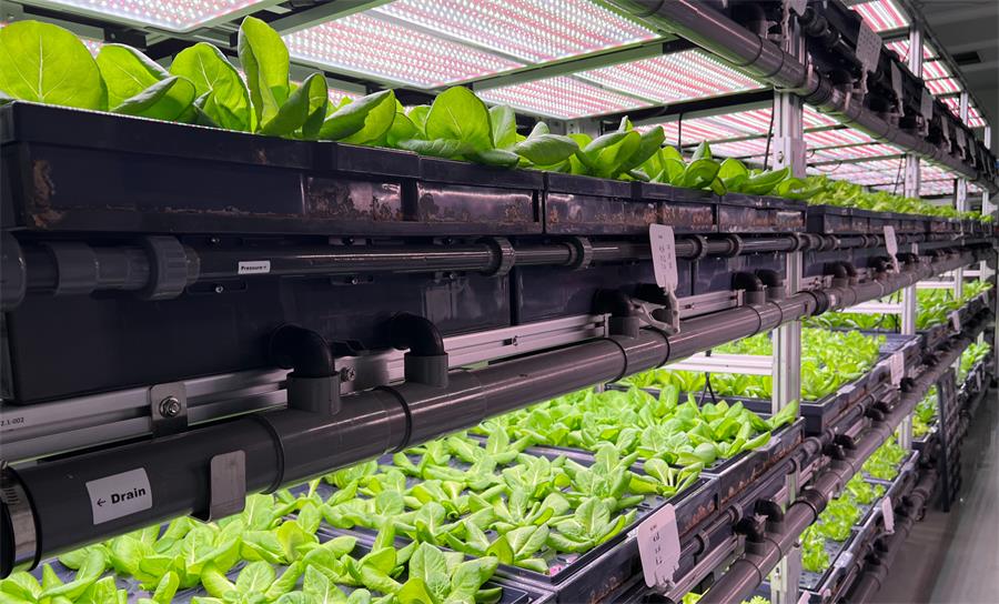 人工氣候實驗室規劃設計